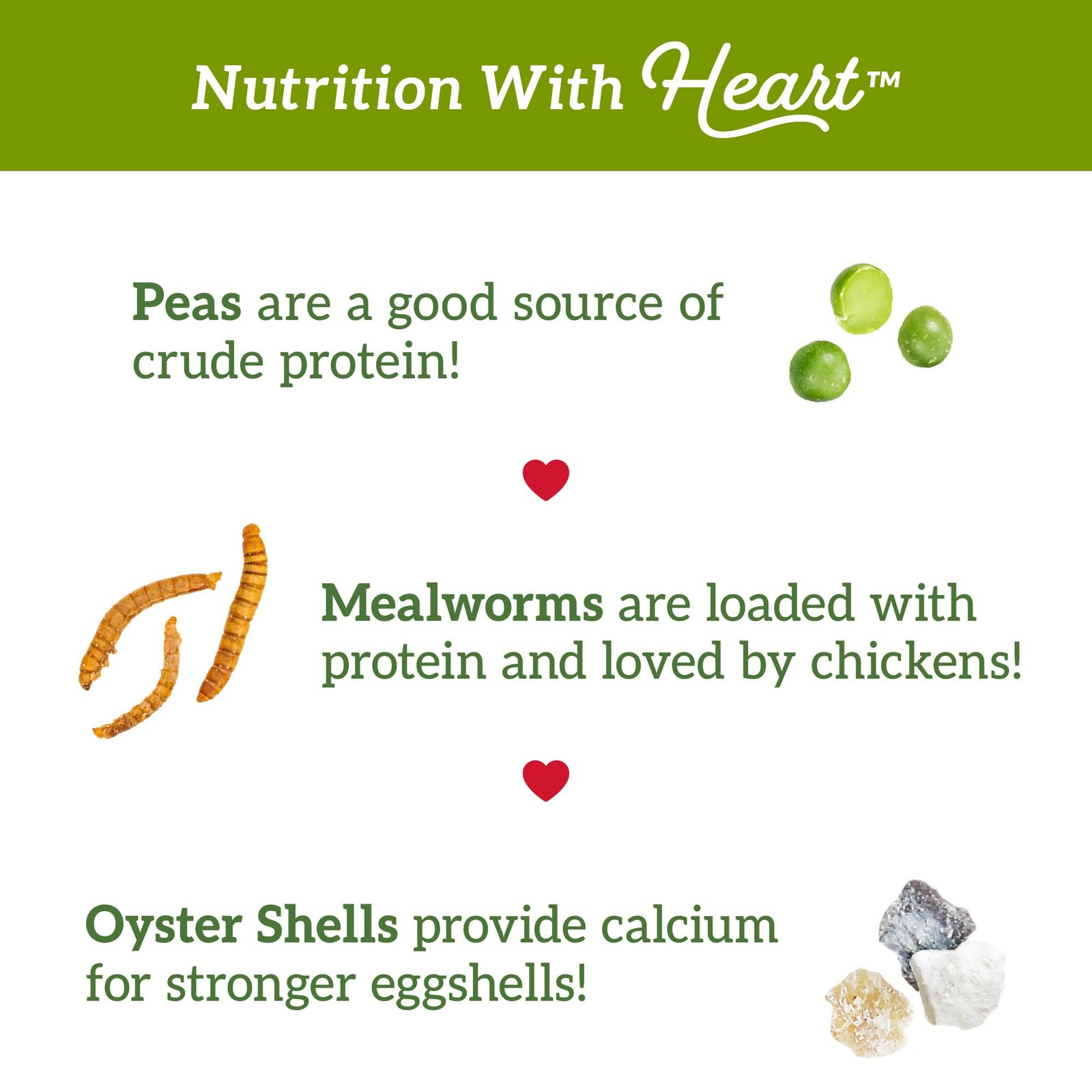 5lb Chicken Snacks – Veggies & Mealworms – Corn-Free Treats