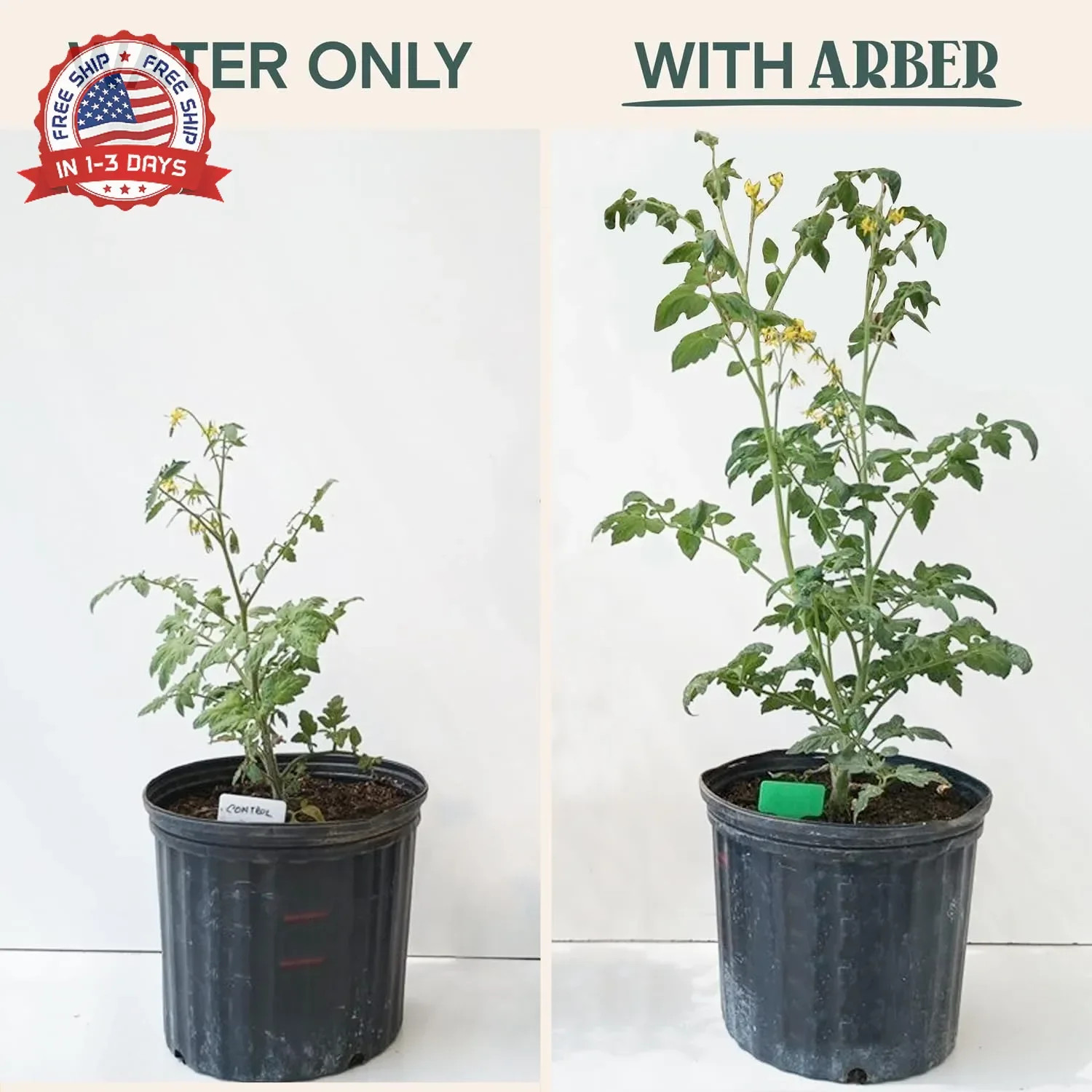 Organic Plant Food Liquid Fertilizer – Indoor & Outdoor Concentrate for Growth,