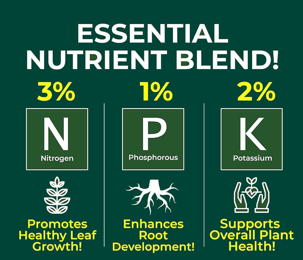 Premium Liquid Succulent Plant Fertilizer – 3-1-2 Concentrate for Indoor Plants