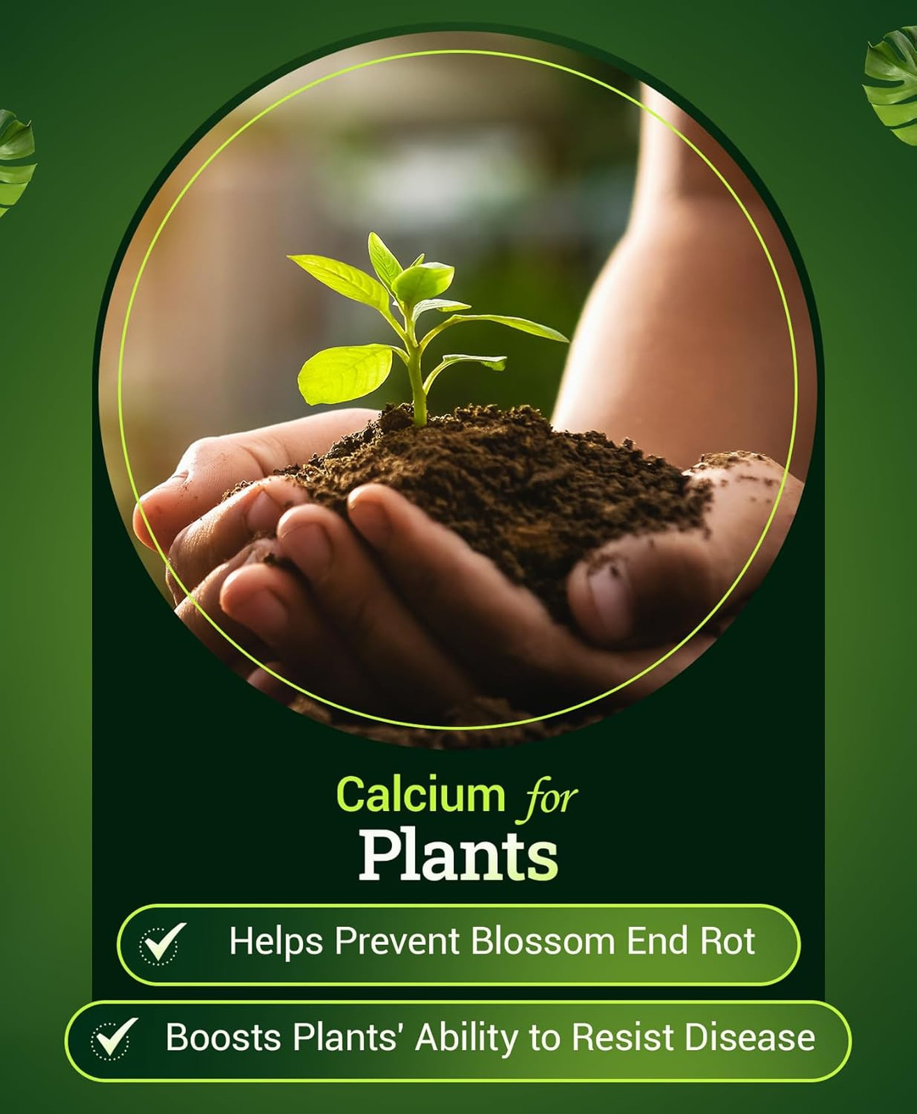 Garden Fertilizers