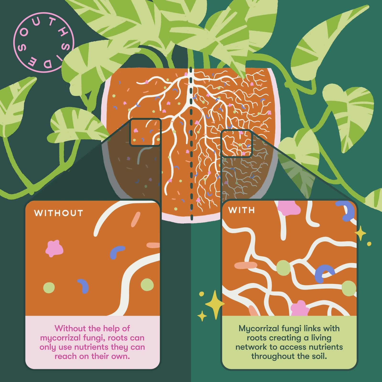 Leafy Plant Food with Mycorrhizal Fungi – Use Year-Round – Makes 200 liters