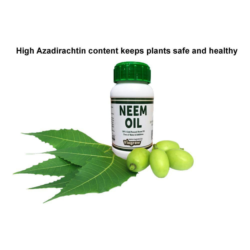 16 Oz. Cold Pressed Neem Oil Seed Extract (Makes 24 Gal.)