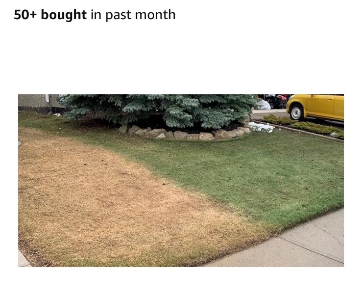 GREEN GRASS DYE LAWN PAINT. ONE GALLON FREE SHIPPING-GREAT PRODUCT!
