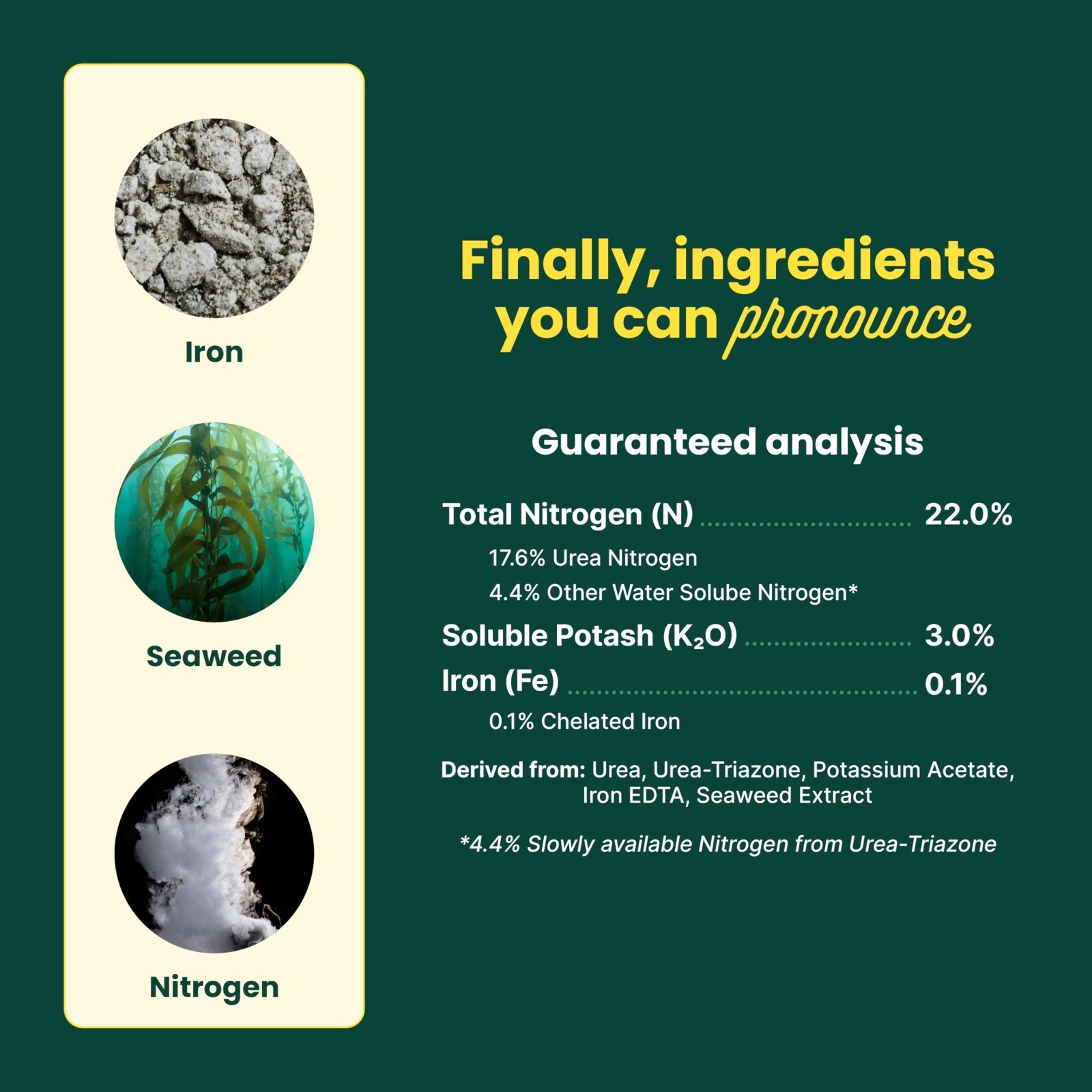 Liquid Lawn Fertilizer 2 Pack – 10,000 Sq Ft Coverage, Nitrogen & Seaweed, Lush
