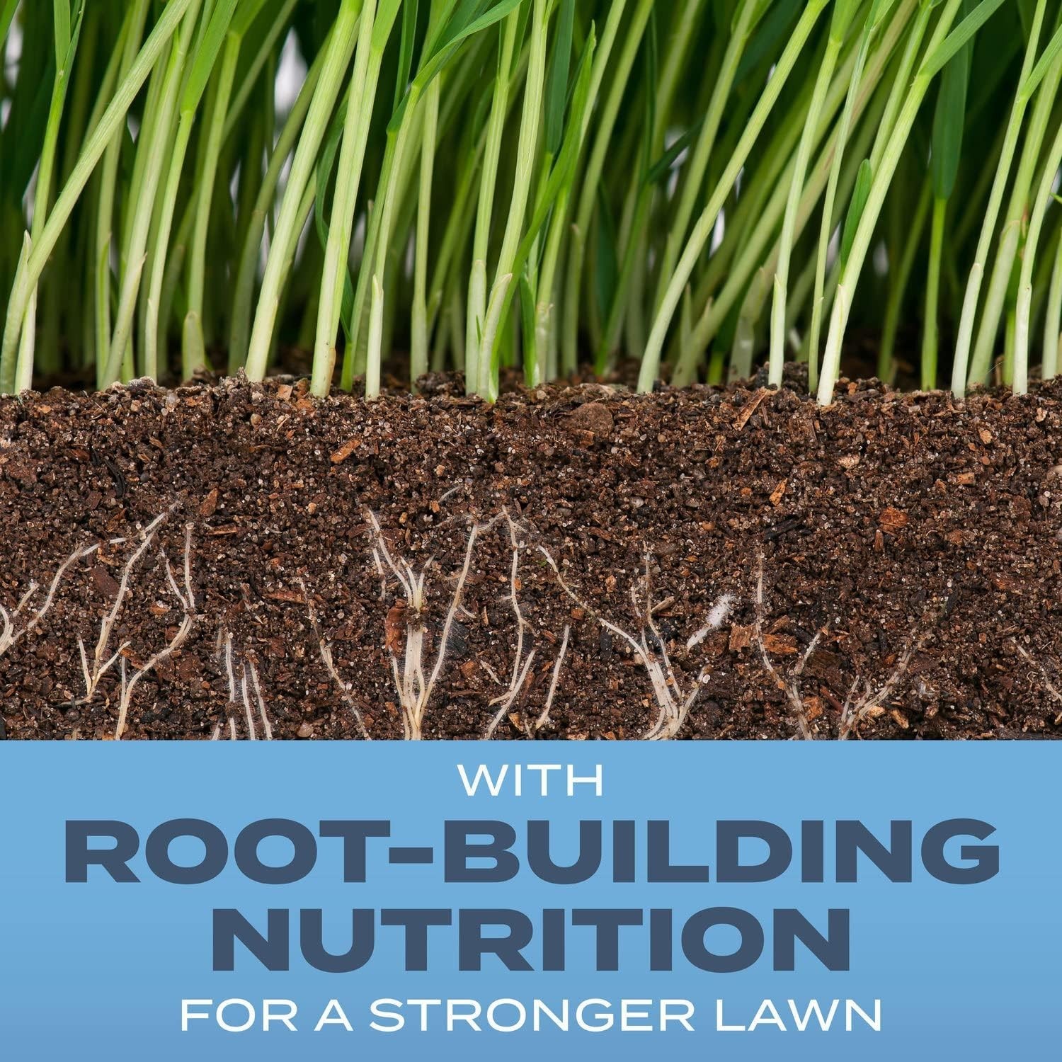 Turf Builder Grass Seed Kentucky Bluegrass Mix W/ Fertilizer & Soil Improver