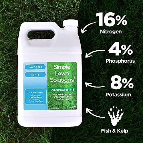 Simple Lawn Solutions 16-4-8 Liquid Lawn Fertilizer for All Grass, 1 Gallon