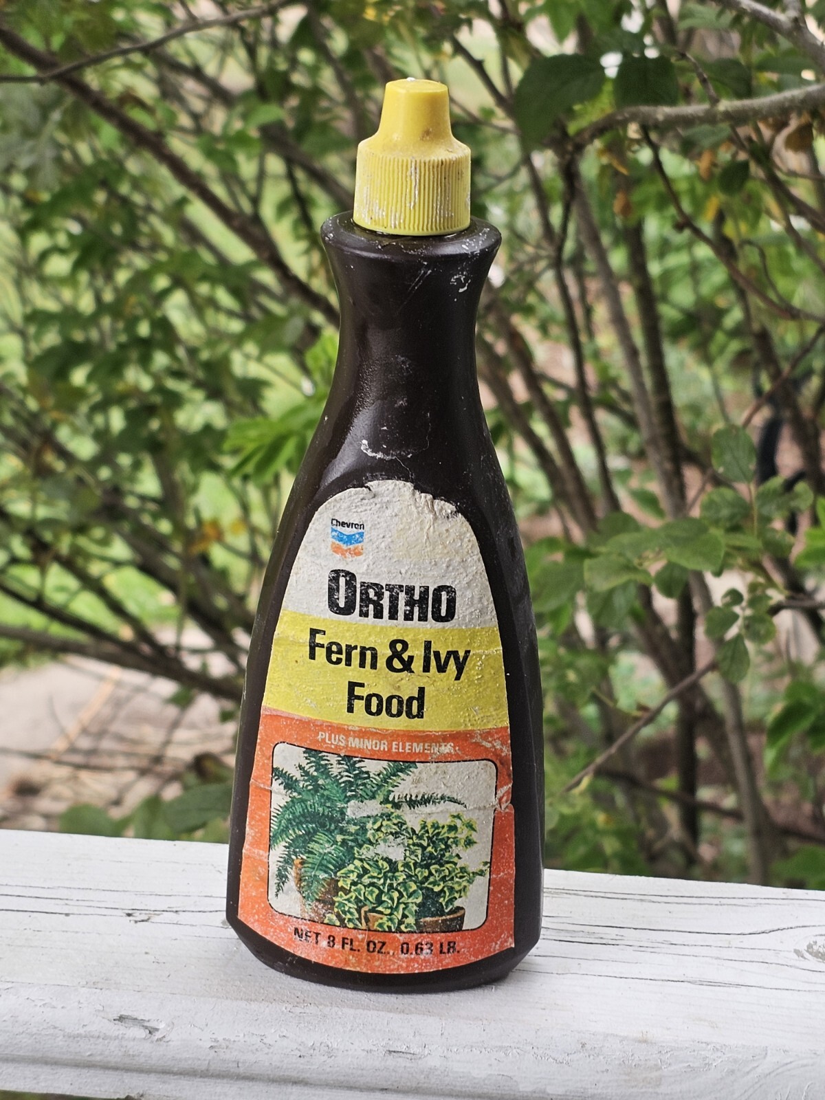 Ortho Vintage Fern & Ivy Food 1984 Advertising Chevron 8 Fl Oz Bottle