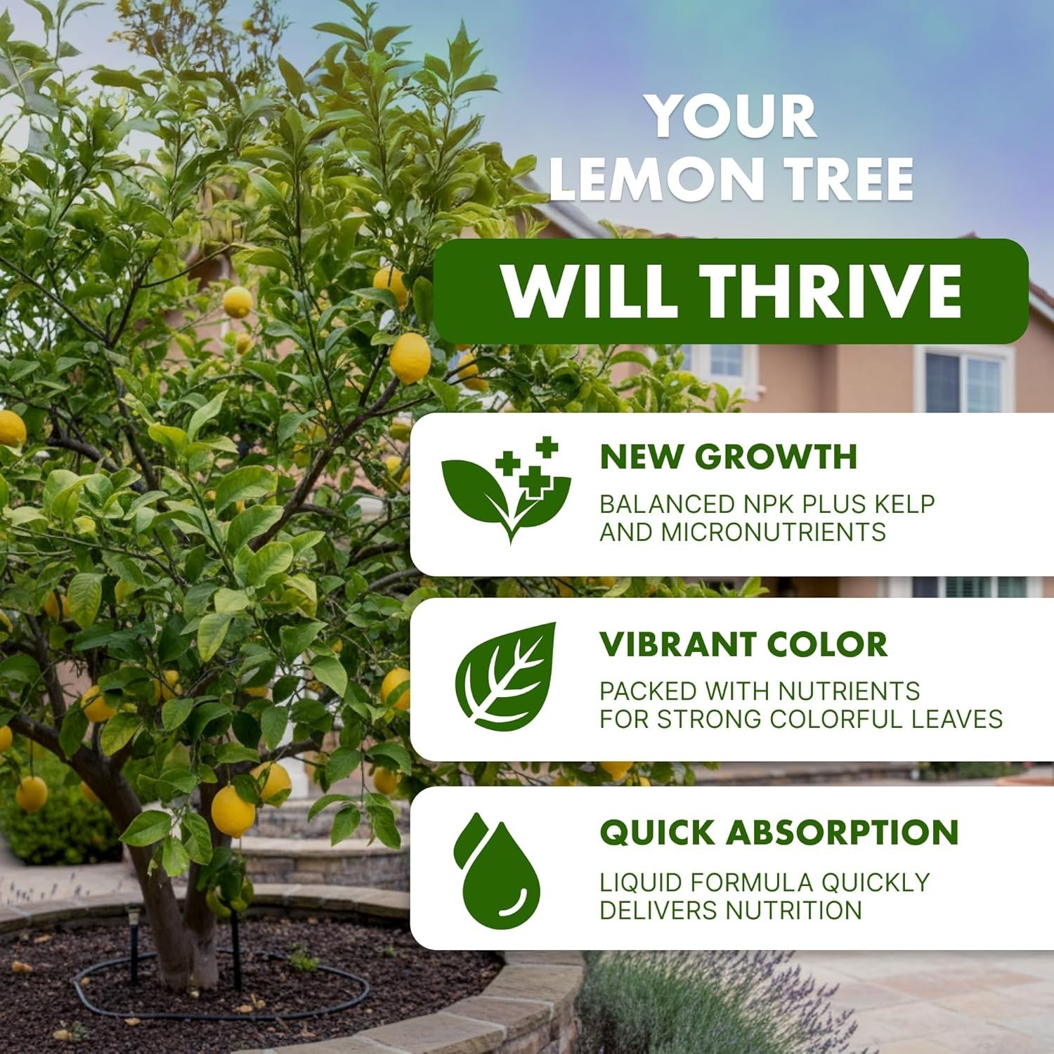 8 oz Liquid Lemon Tree Fertilizer for Vibrant Growth & Abundant Fruit