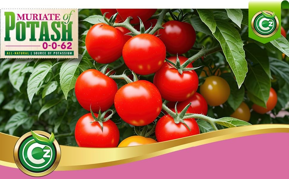 Muriate of Potash 0-0-62 Fertilizer Cz Garden Organics 5LB