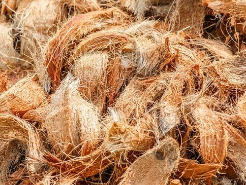 Cocanut husk chips fiber natural for gardening