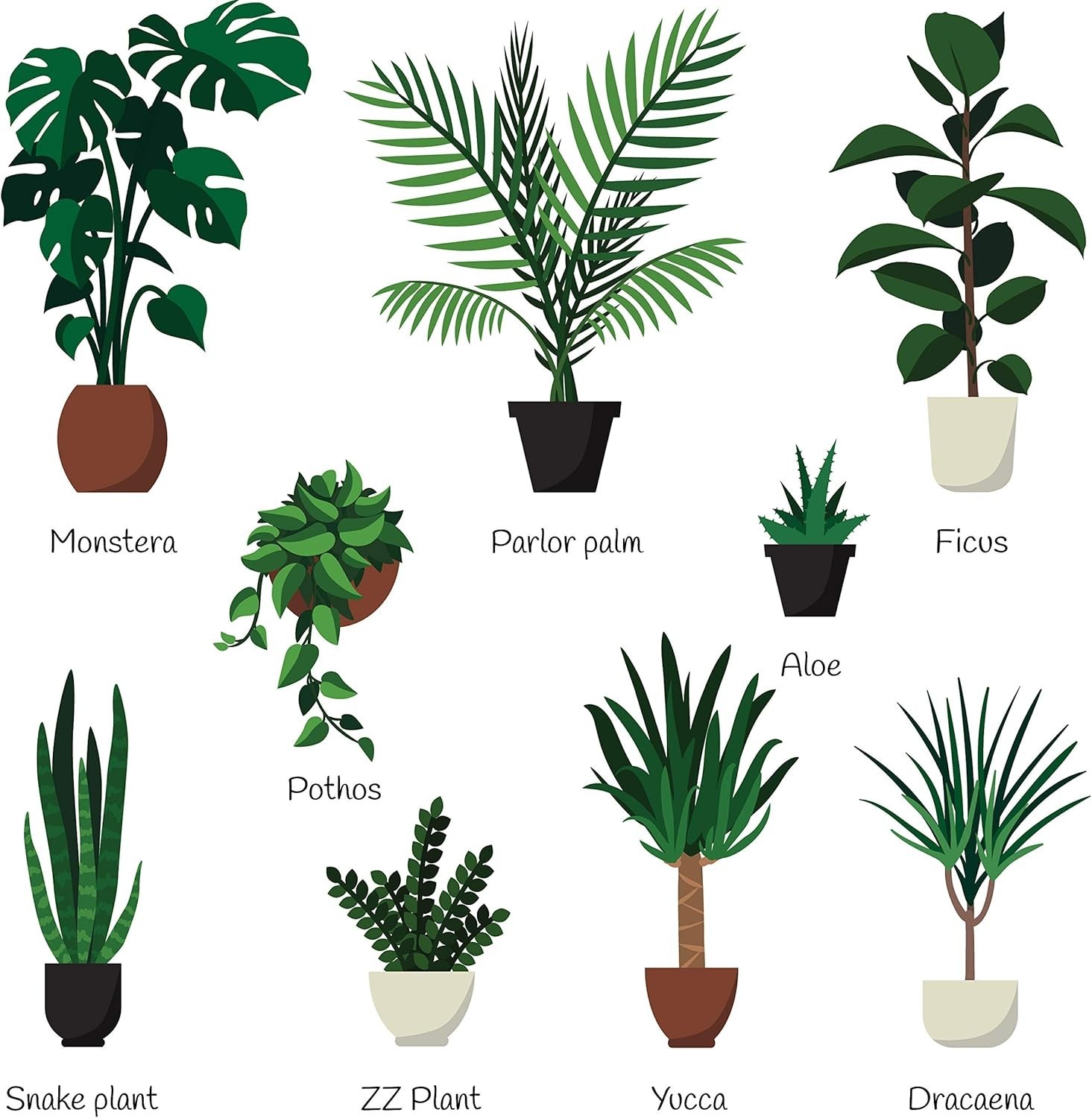 Indoor Plant Food – 8 Oz Liquid Fertilizer for Abundant Growth in Potted Plants