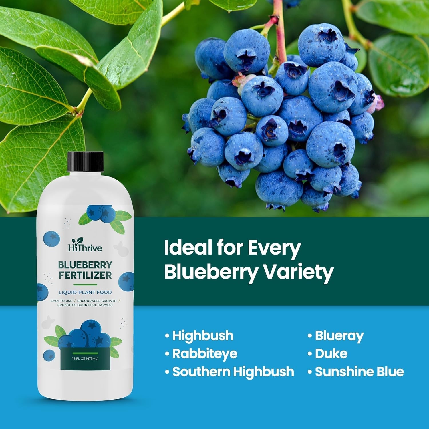 16oz Blueberry Fertilizer – Makes 16 Gallons of Fruit Tree Fertilizer for Blu…