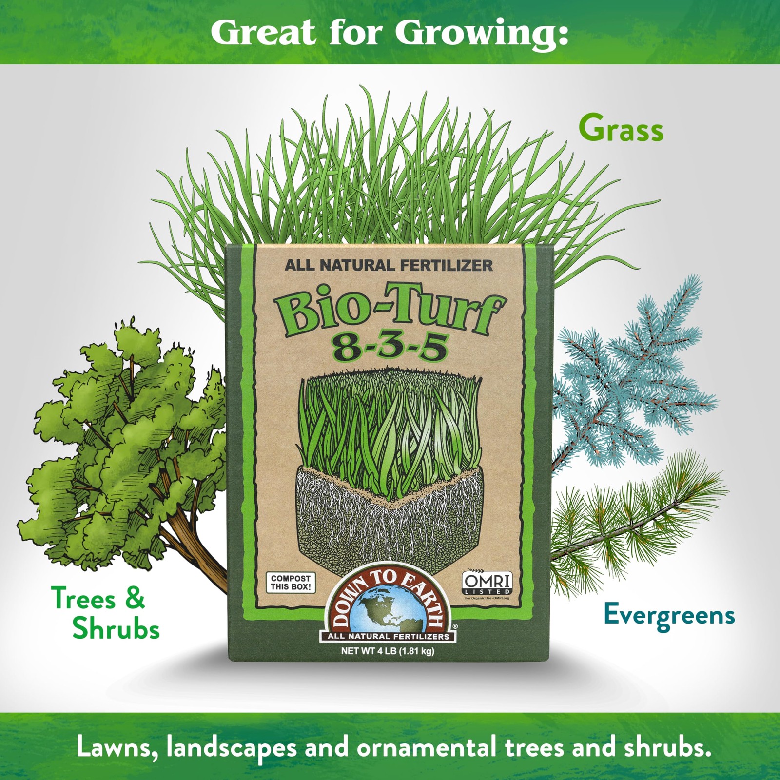 Down to Earth Organic Bio-Turf Lawn Fertilizer Mix 8-3-5, 4 lb