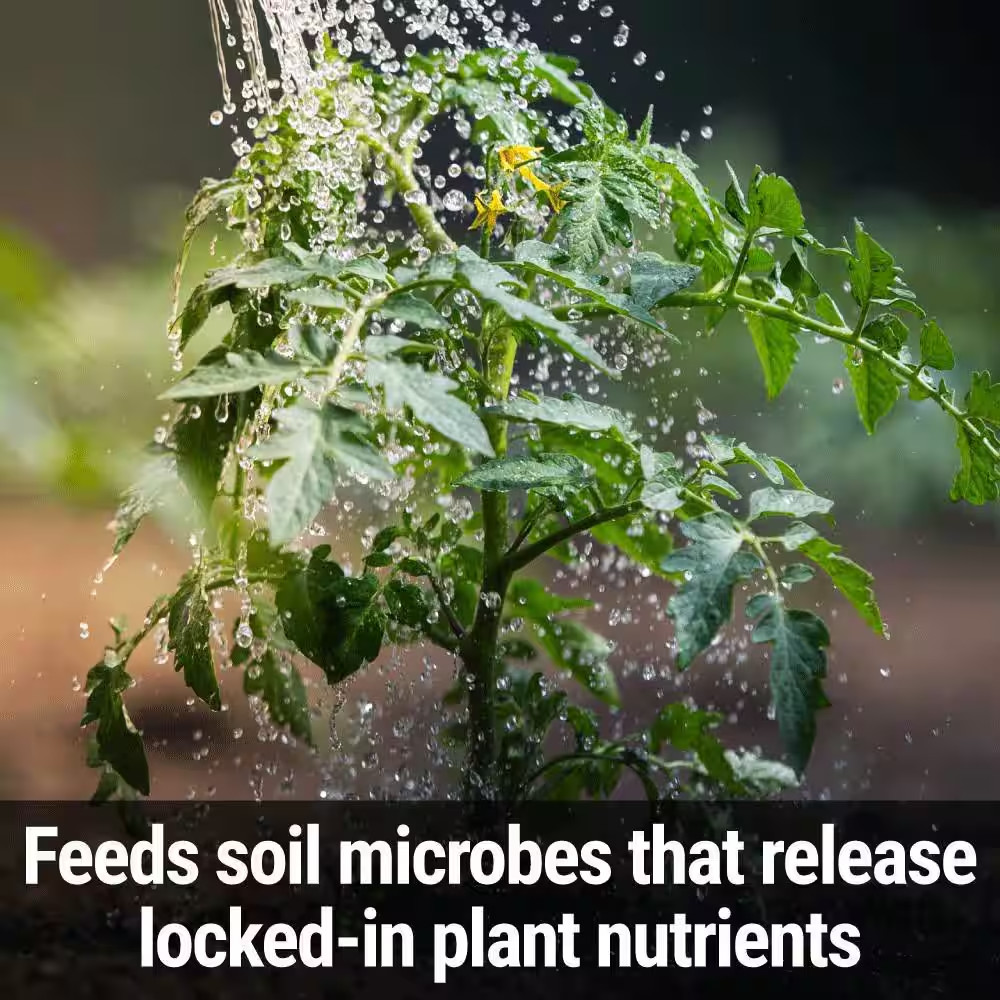 Mix and Feed All Purpose Plant Food Ready to Spray Hose End