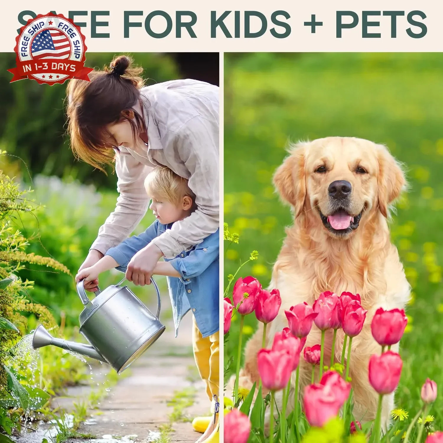 Organic Plant Food Liquid Fertilizer – Indoor & Outdoor Concentrate for Growth,