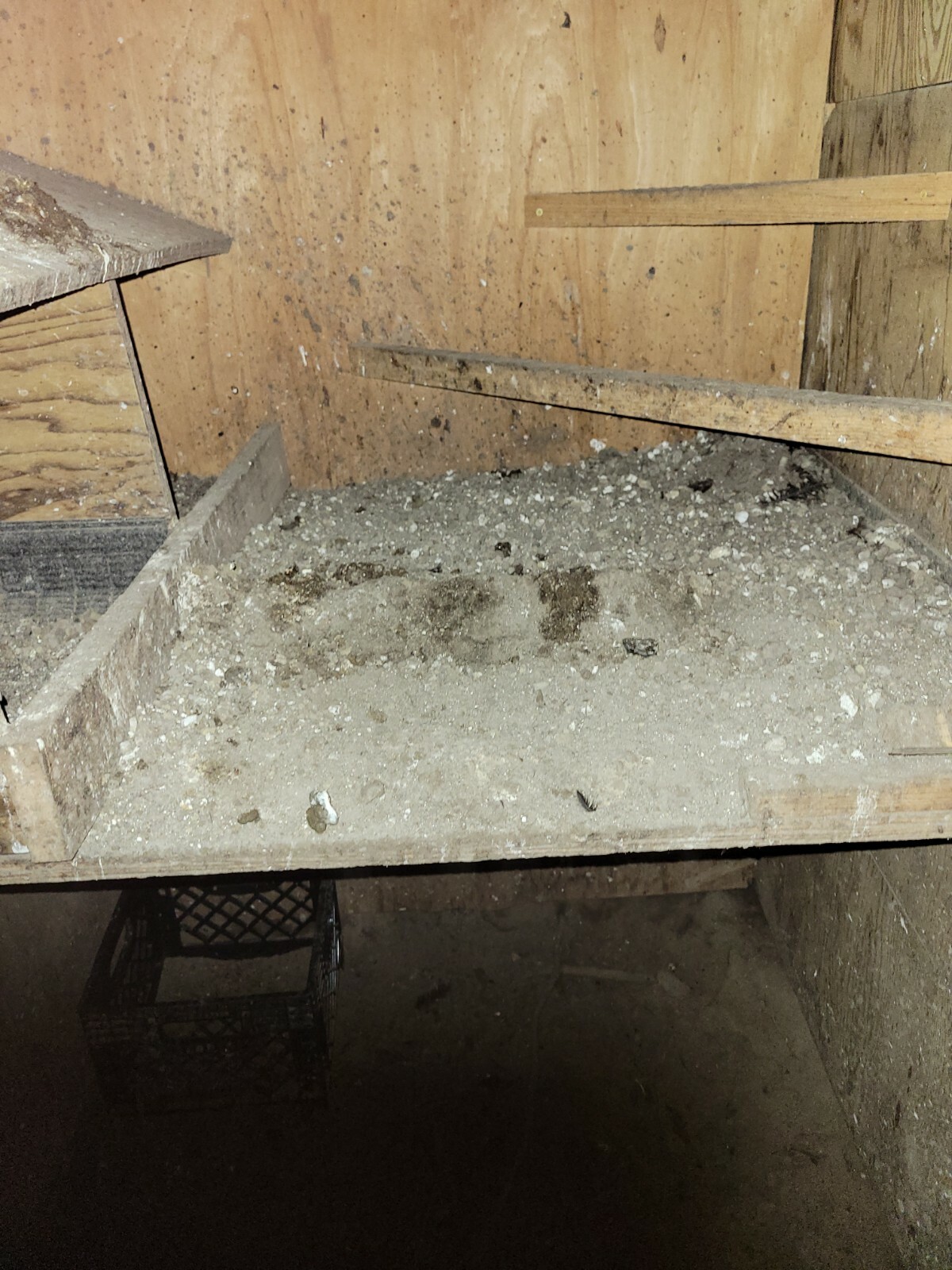☆Worlds Most Expensive Chicken’s Manure – Fertilizer/ Fresh Poop / Doo-Doo /Dung