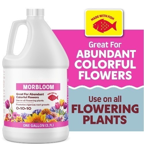 Morbloom Flowering Plant Food, 0-10-10 Fertilizer, 1 gal.