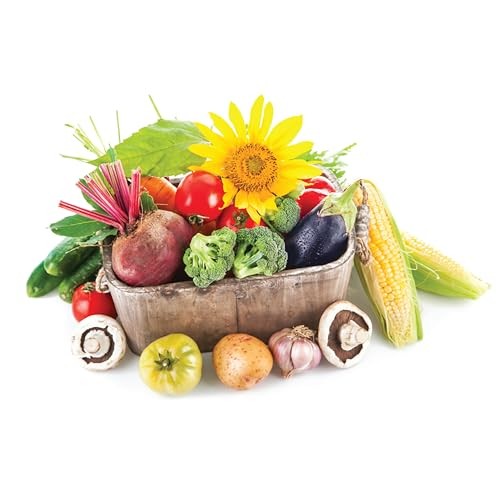 Jobe’s Organics Granular Fertilizer, Easy Plant Care 16 lbs All Purpose