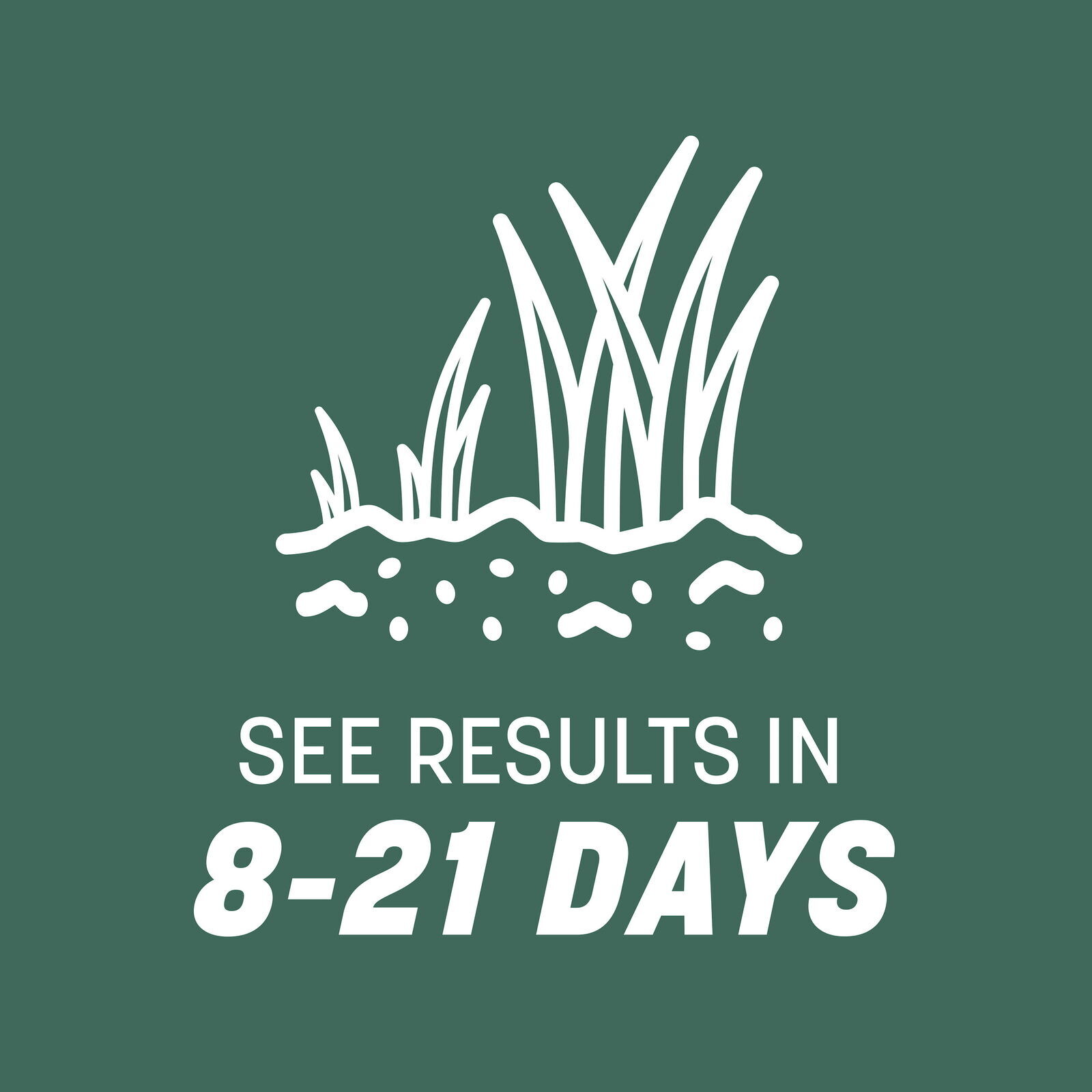 31 Tall Fescue Grass Seed for Sun to Partial Shade 20 lb Covers 4,000 sq. ft.