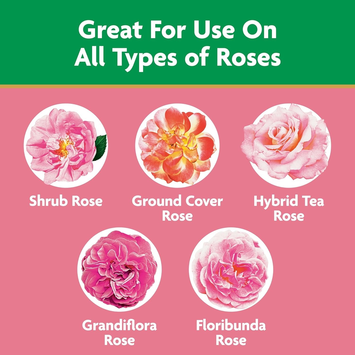 Instant Action 1.5 lb Water Soluble Rose Food – Safe for Indoor & Outdoor Use