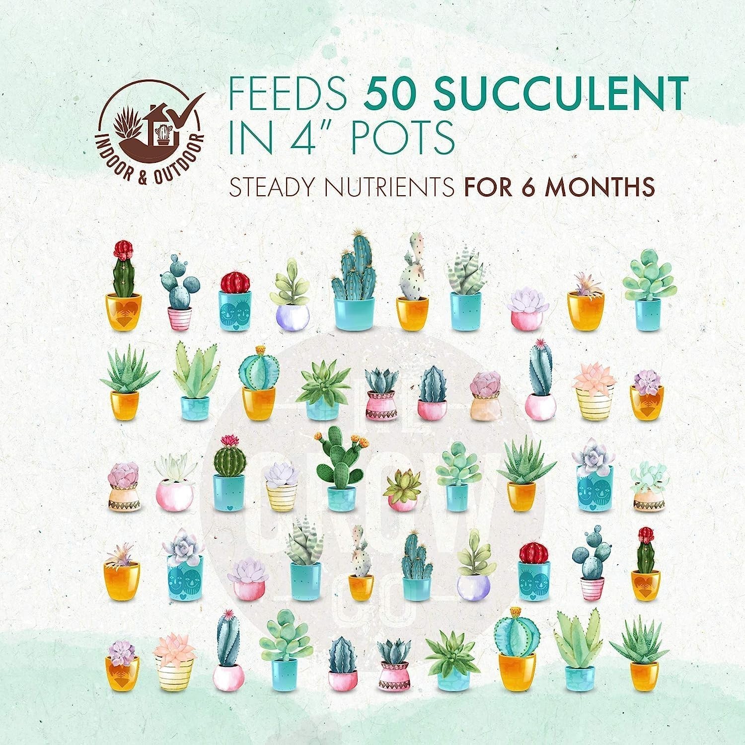 Long-Lasting Succulent & Cactus Plant Food