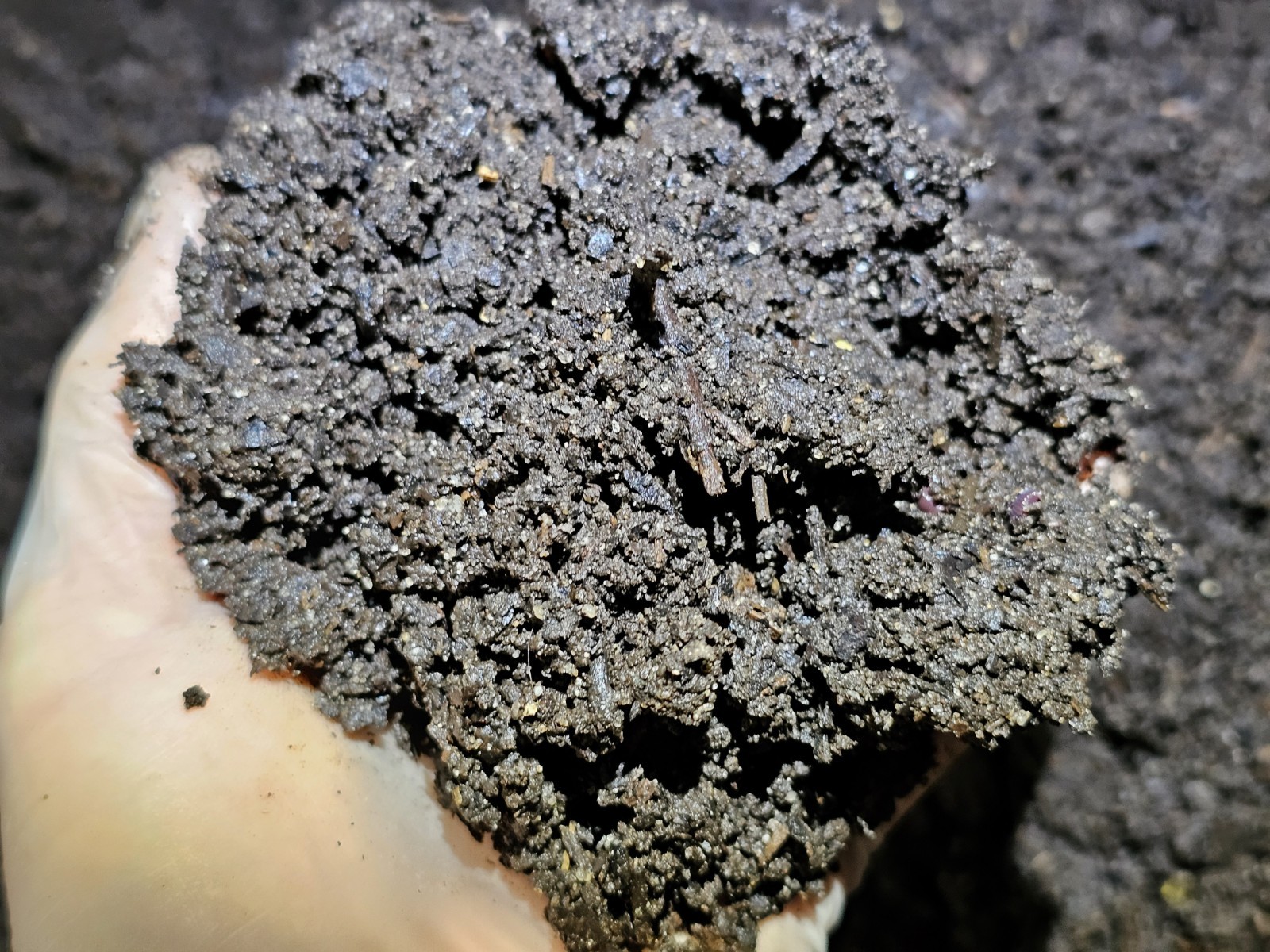 5 LBS. RAW Unscreened Vermicompost, Biologically Active Soil Amendment