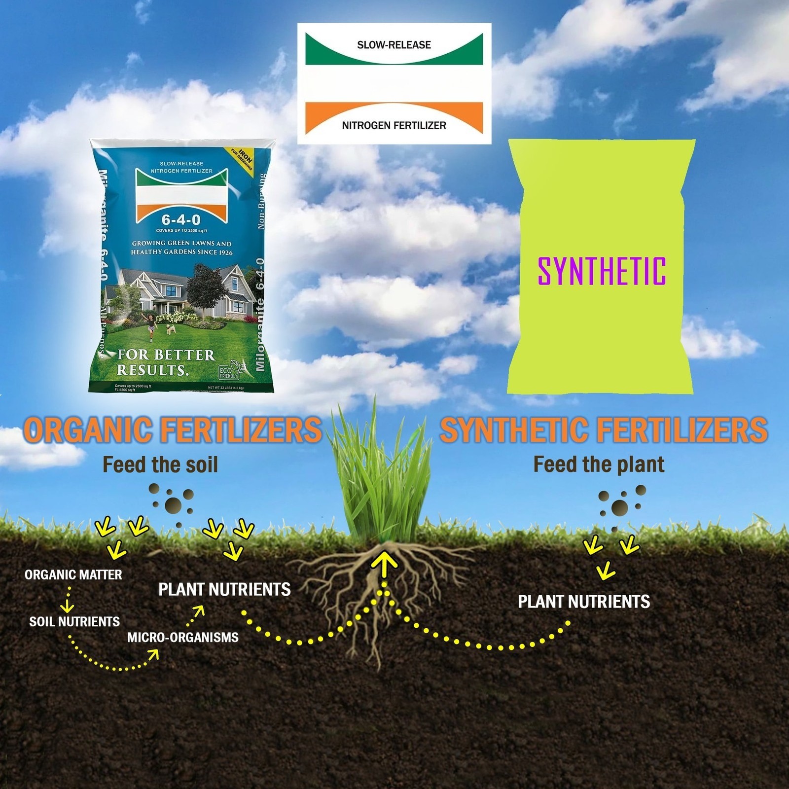 Long Lasting All Purpose Lawn Food, 6-4-0 Fertilizer, 32 lb.