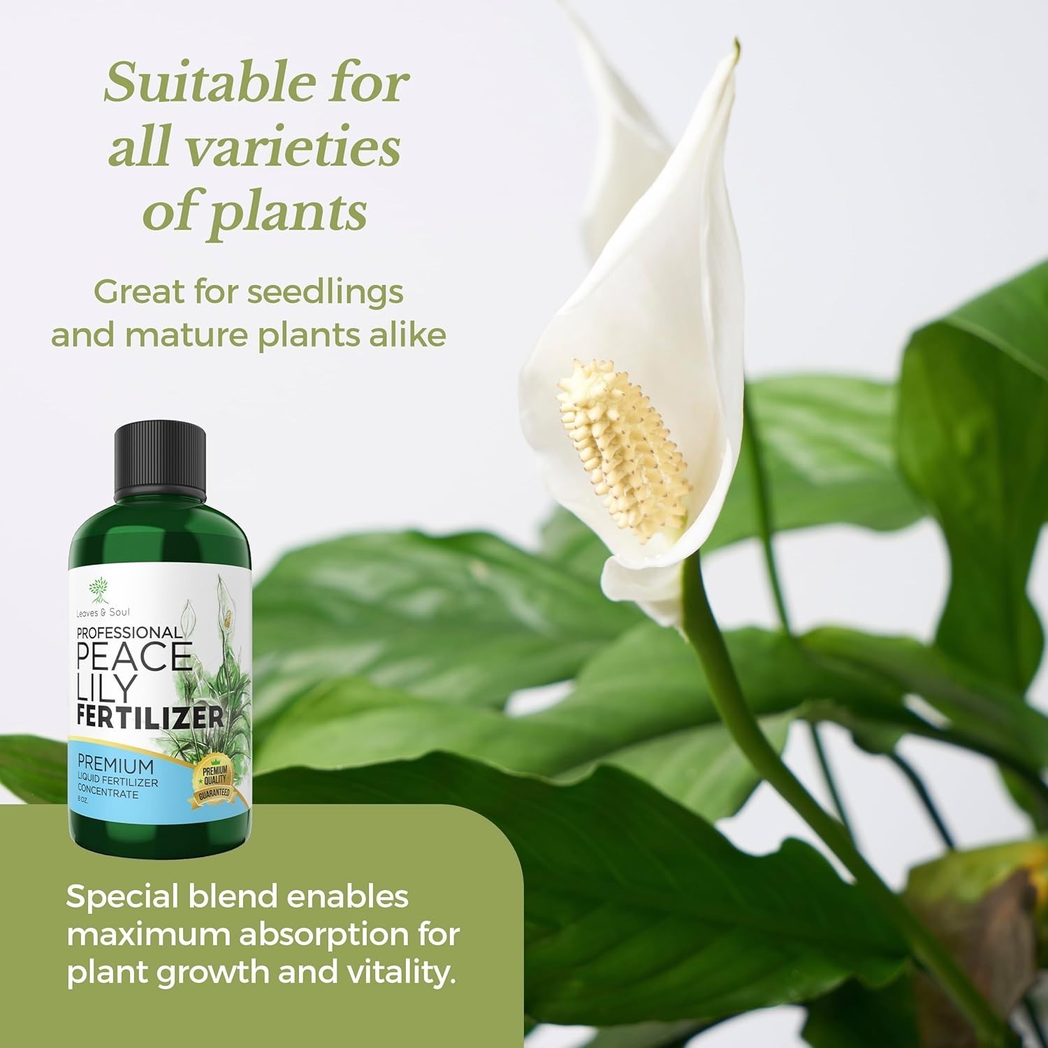 Professional Peace Lily Fertilizer Liquid 3-1-2 Concentrate 8 oz, Peace Lily…