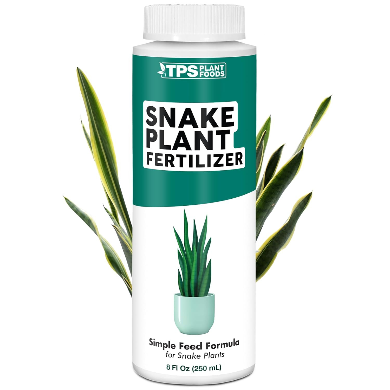 Snake Plant Fertilizer – Liquid Plant Food for Upright Growth, Strong Roots & Ri