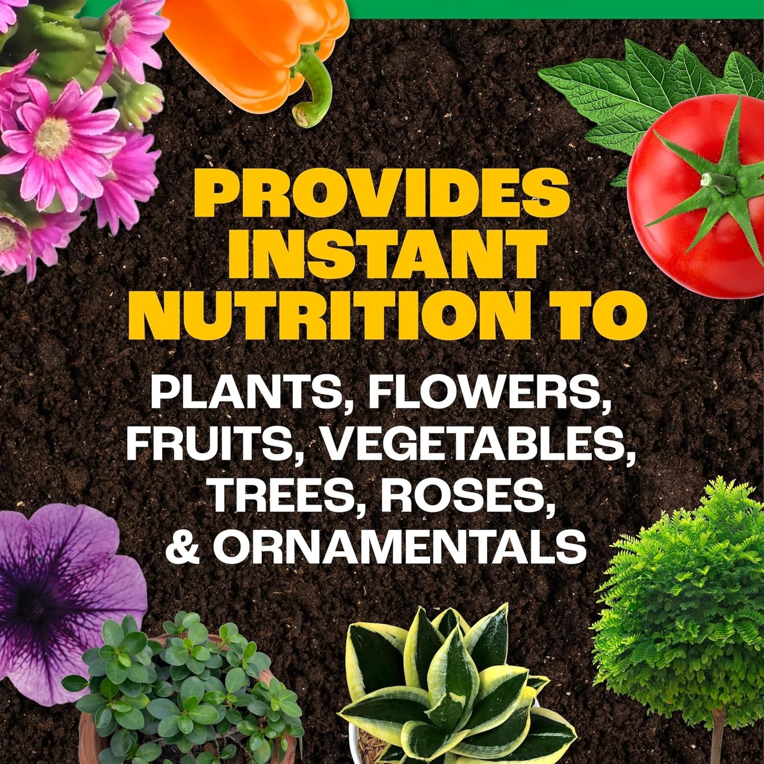All-Purpose Plant Food 20-10-20 in 1.5 lb Jar with Measuring Scoop & Foam Seal