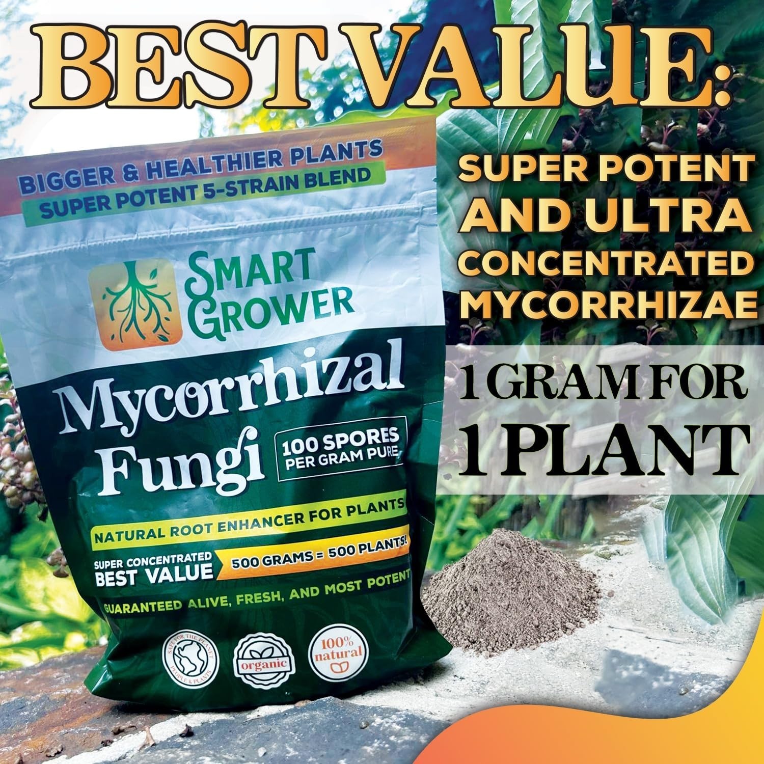 Mycorrhizal Fungi Root Enhancer 5-Strain Blend 125G, Treats 125 Plants | 100 …