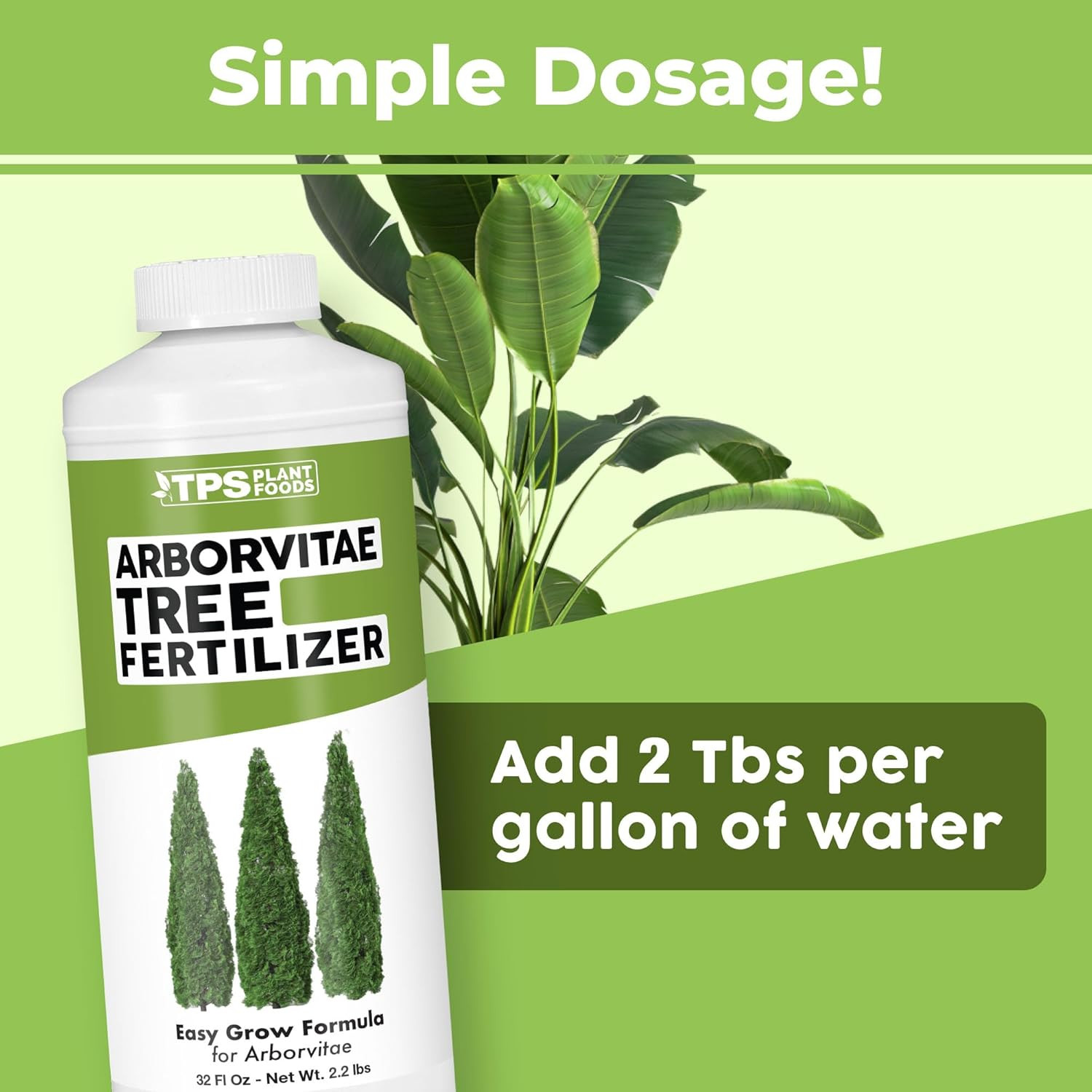 Arborvitae Tree Fertilizer for All Arborvitaes, Evergreen Shrubs and Thuja Tr…