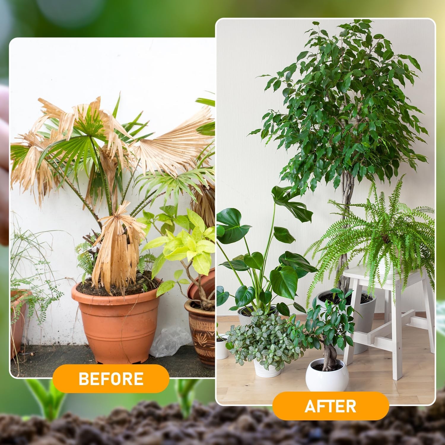 2 Pcs Soil Activator, Bone Meal Fertilizer for Potting Mix & Seedling Compost