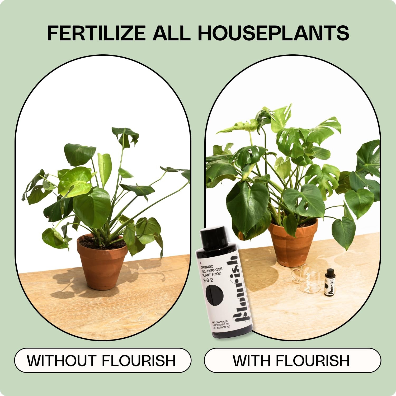 Organic All-Purpose Plant Food Fertilizer 3-3-2 NPK 1.69 fl oz Indoor Plants