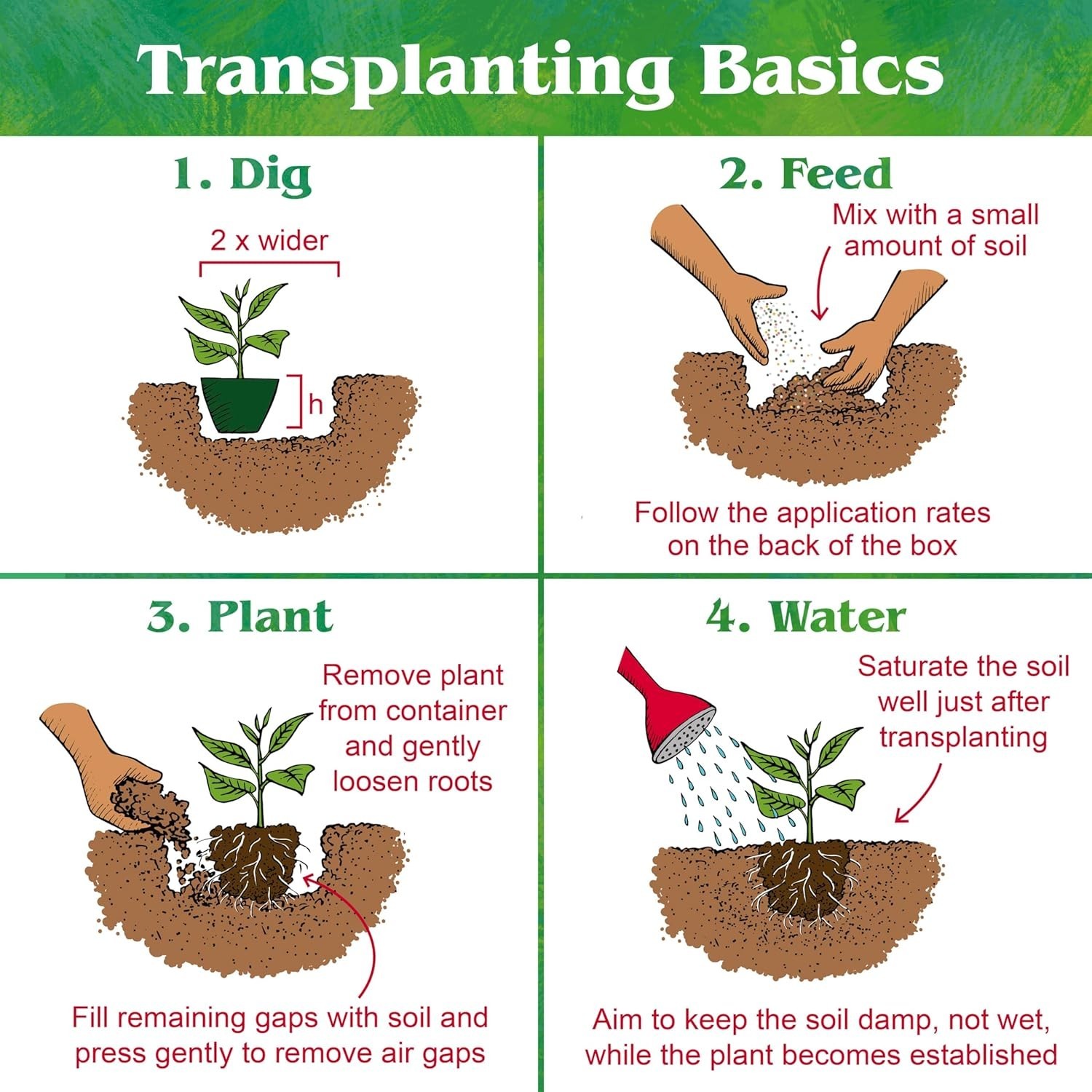 5 lb Organic Plant Food for Lush Raspberries & Rhododendrons – Eco-Friendly