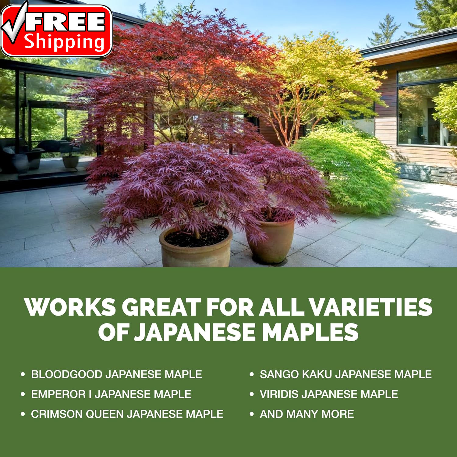 Japanese Maple Fertilizer – Liquid Plant Food for Vibrant Color, Stronger Roots