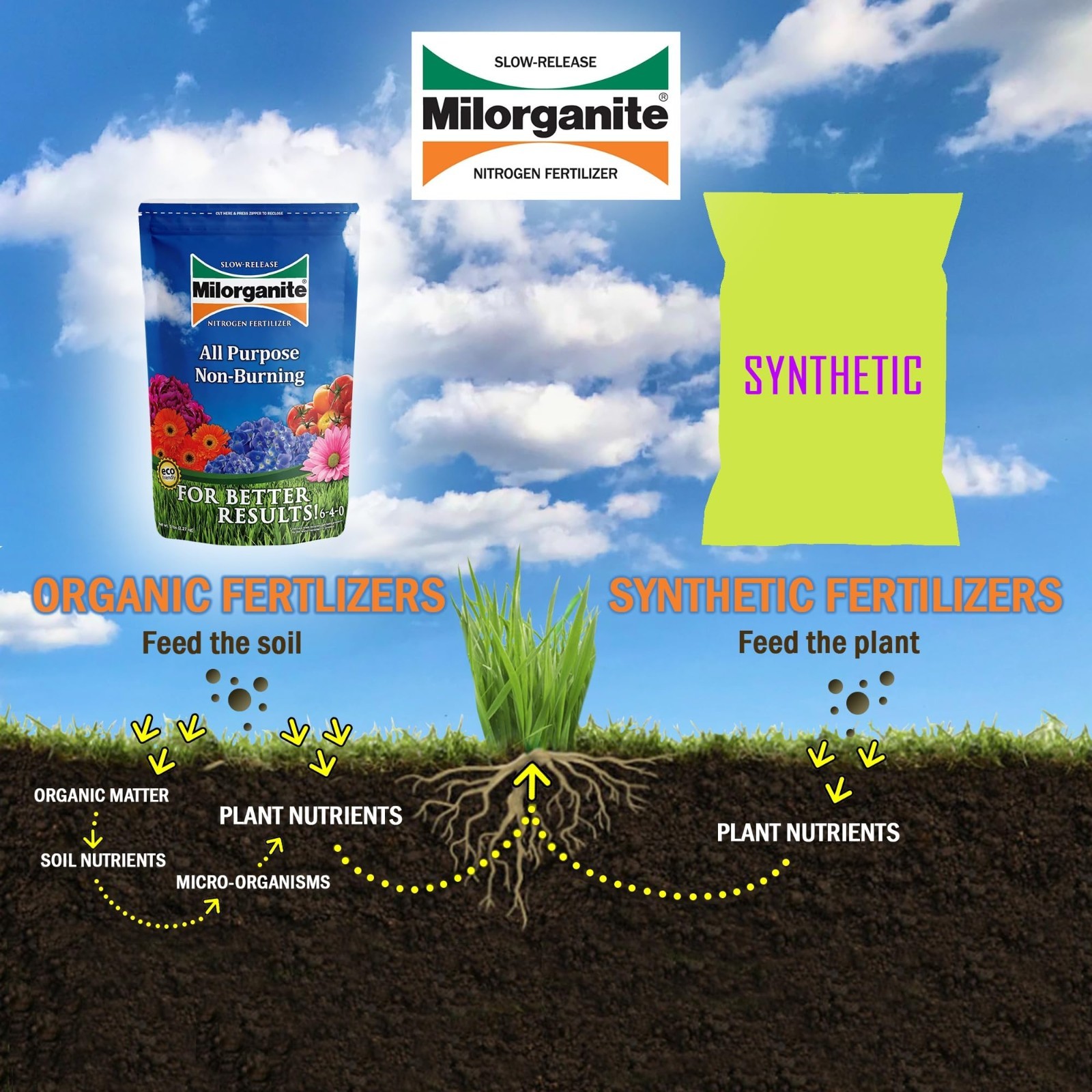 Eco-Friendly Slow-Release Nitrogen Fertilizer 6-4-0, 5 lb Bag (3 Pack) for Lawns