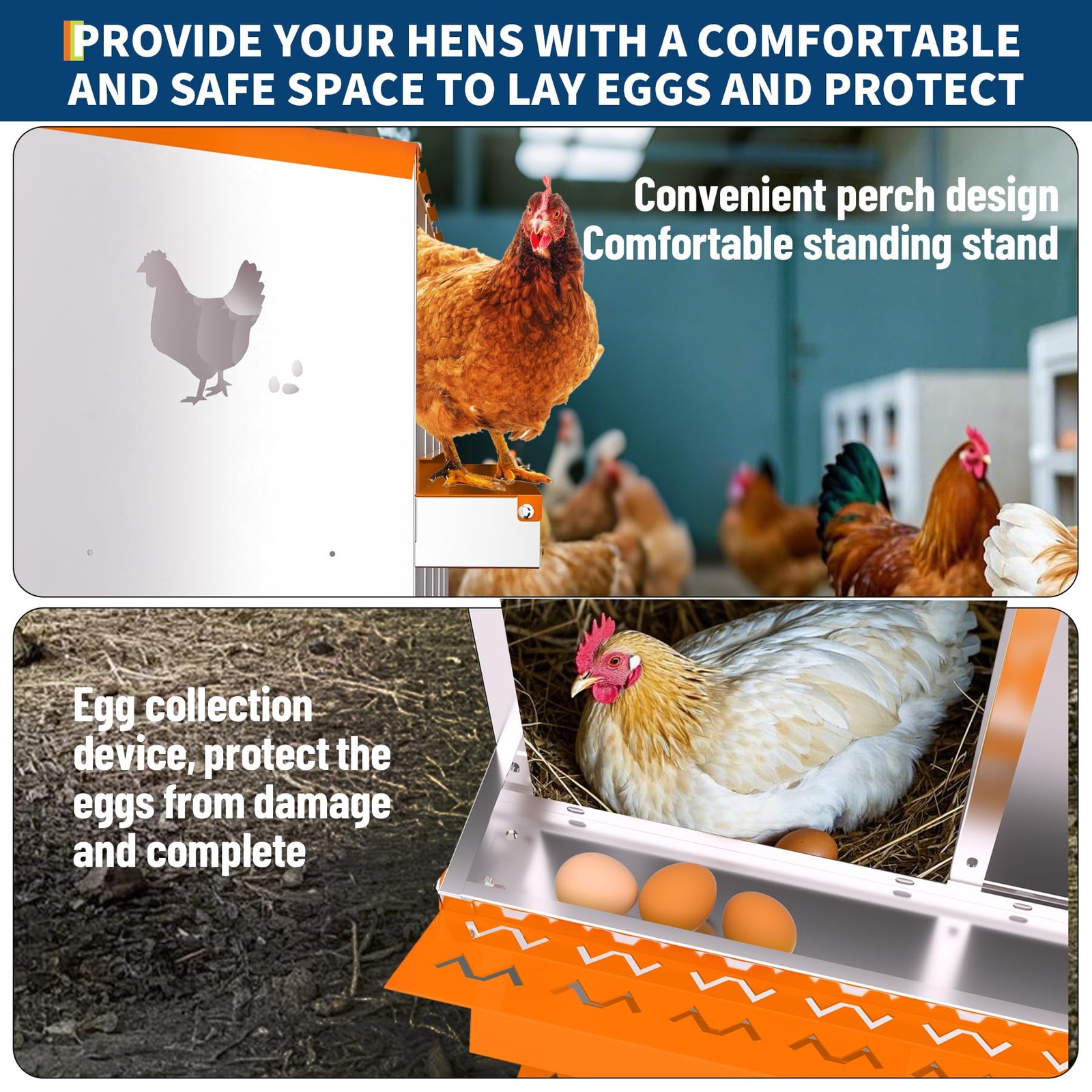 Peakpursuit Chicken Nesting 8 Compartment Galvanized Steel Chicken Laying Boxes
