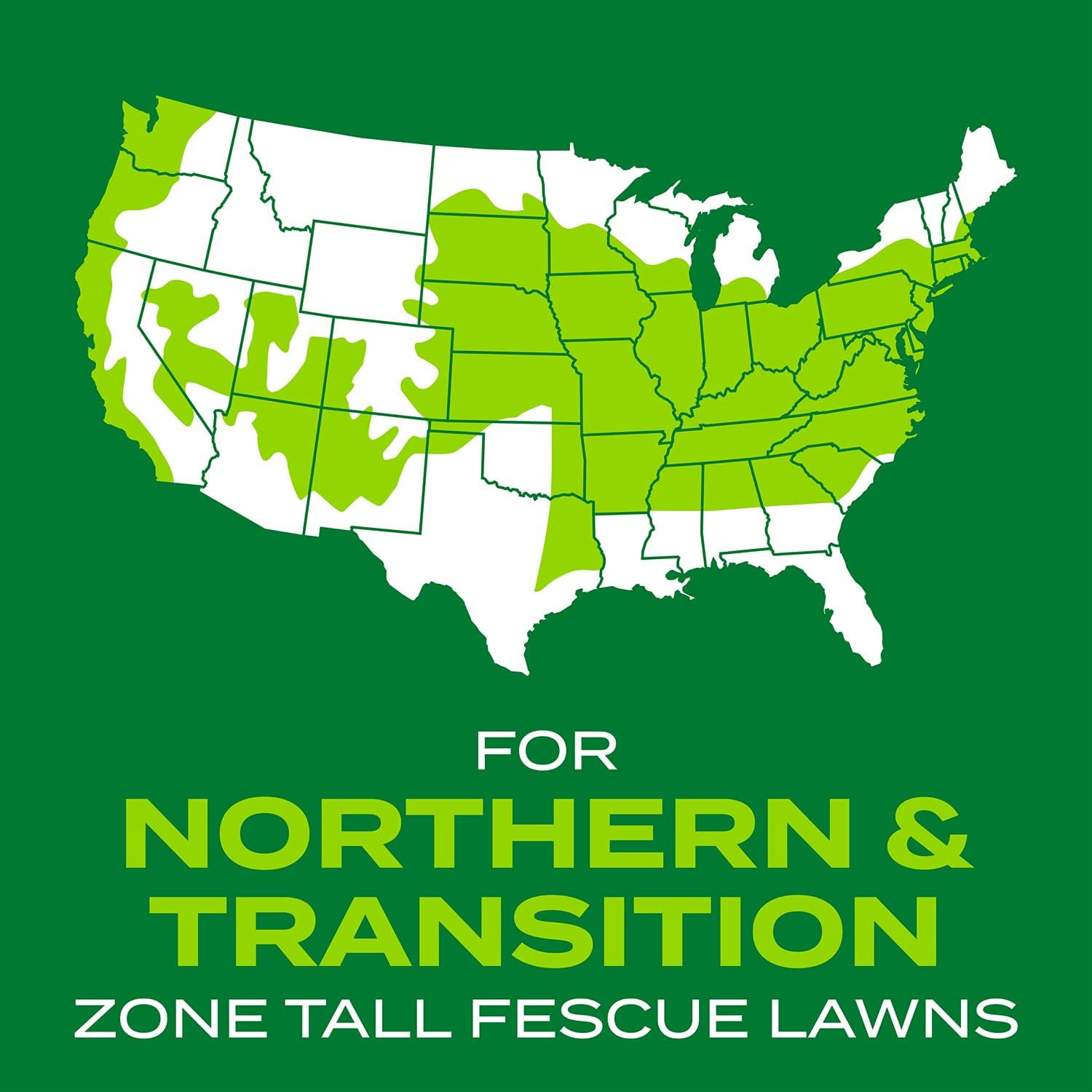 Turf Builder Rapid Grass Tall Fescue Mix, Combination Grass Seed and Fertilizer,
