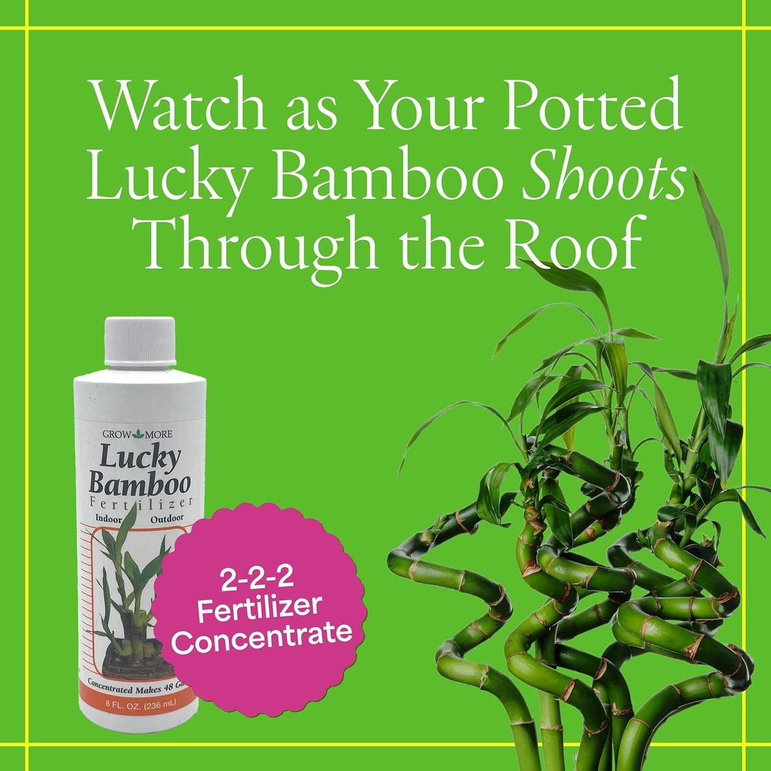 American-Made 8oz Lucky Bamboo Fertilizer – Perfect for Indoor & Outdoor Growth