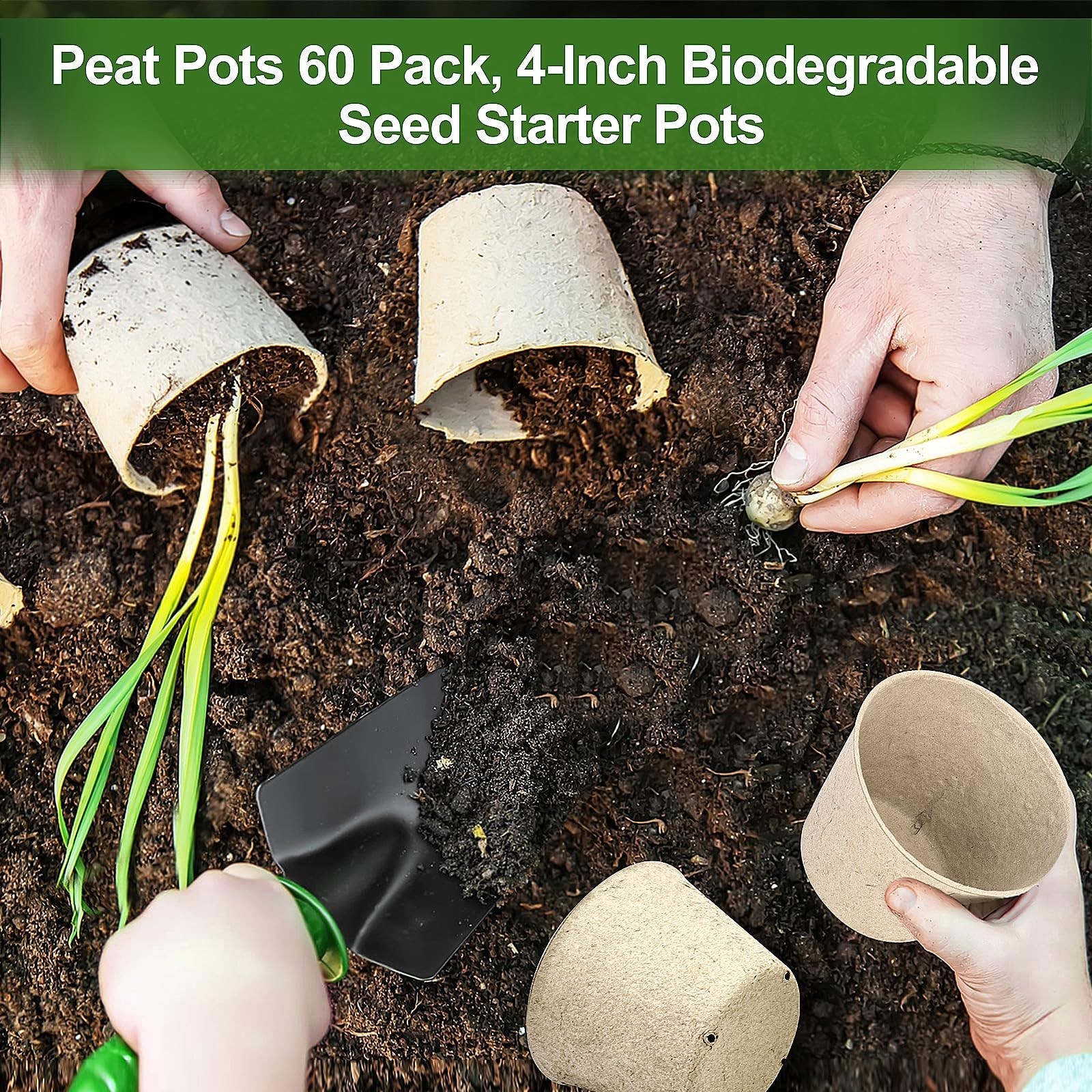 Peat Pots, 60 Pack Plant Starter Round Nursery Pot with Drainage Holes, Garde…