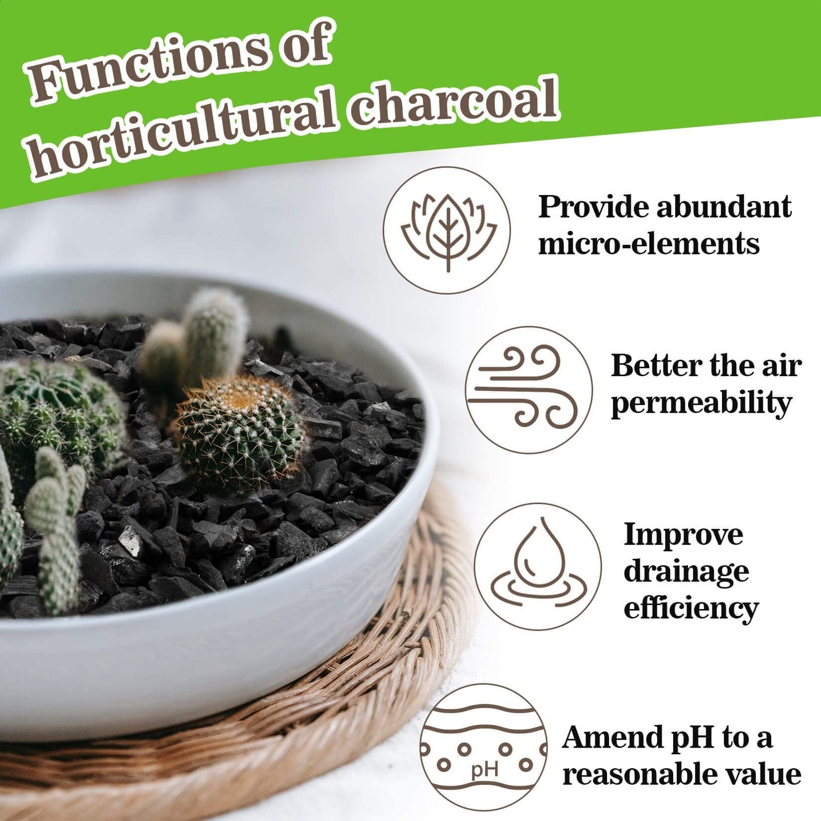 RAINFLOW Horticultural Charcoal for Plants – 290G Natural Earth Regulated…