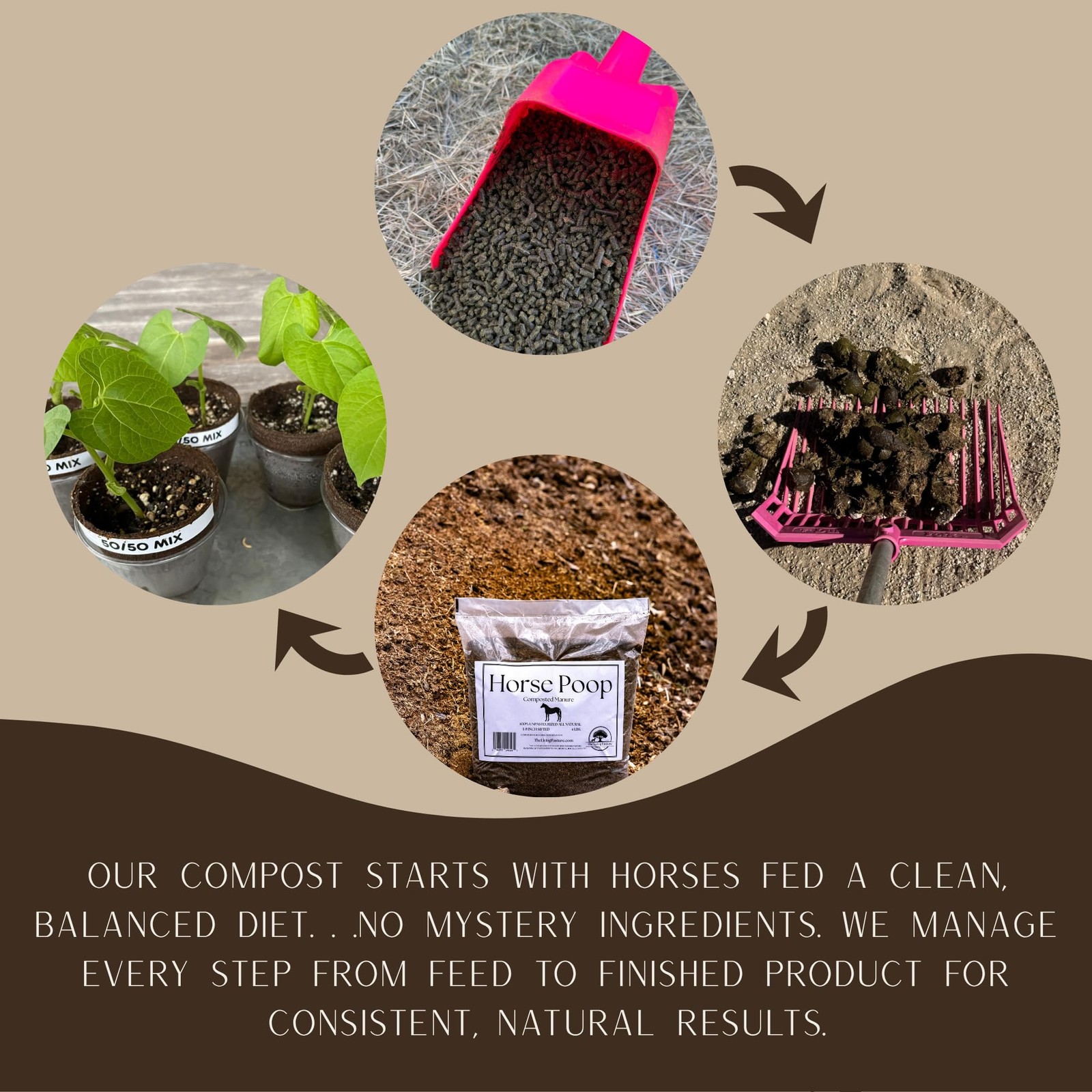 Horse Poop, 100% Natural Aged Unpasteurized Composted Manure and Sifted Premi…