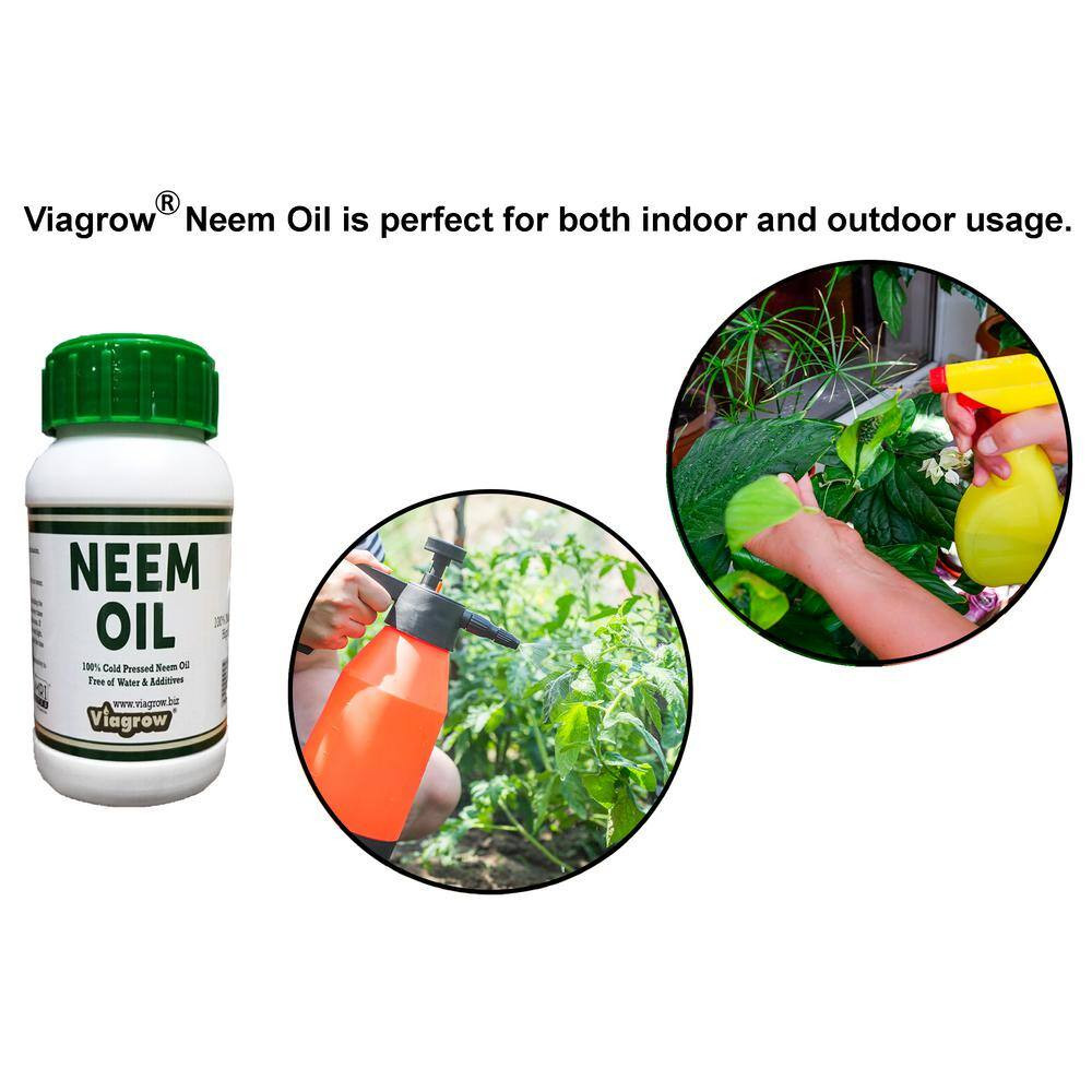 16 Oz. Cold Pressed Neem Oil Seed Extract (Makes 24 Gal.)