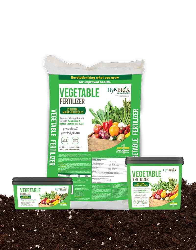 HyR BRIX Vegetable Fertilizer 4-7-9