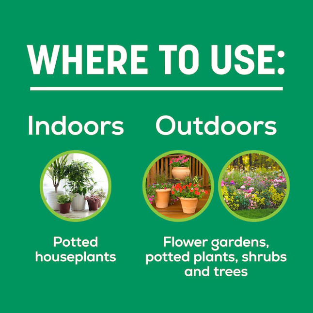 Sta-Green Indoor and Outdoor 2-lb 19-6-12 All-purpose Food