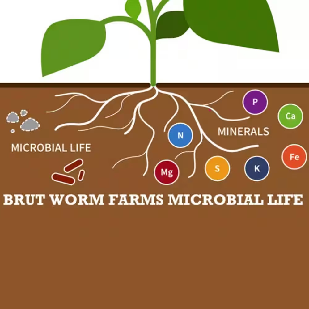 Organic Worm Castings Soil Builder, 30 Pound Bag (10-Pack)