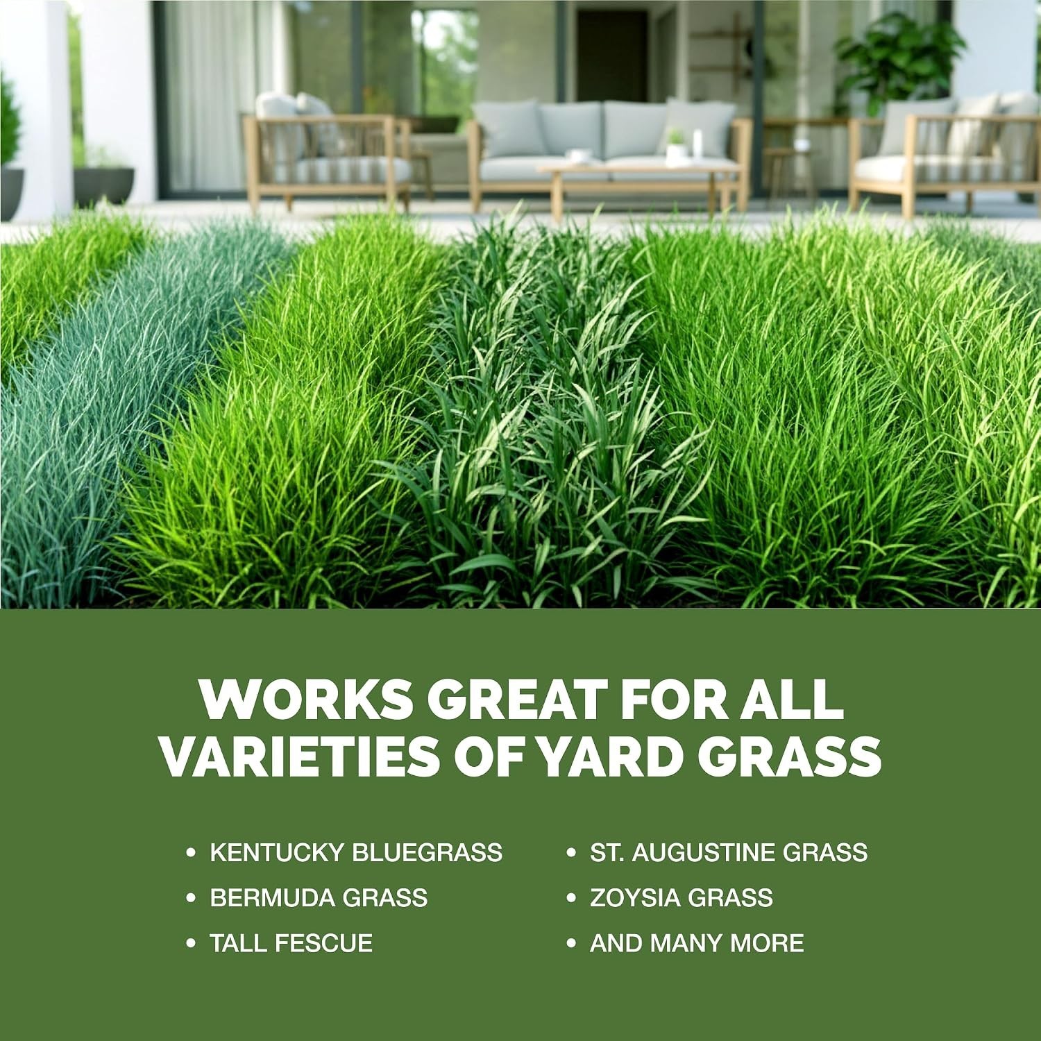 Yard Fertilizer – Liquid Lawn & Grass Fertilizer for Green, Healthy Turf, 8oz
