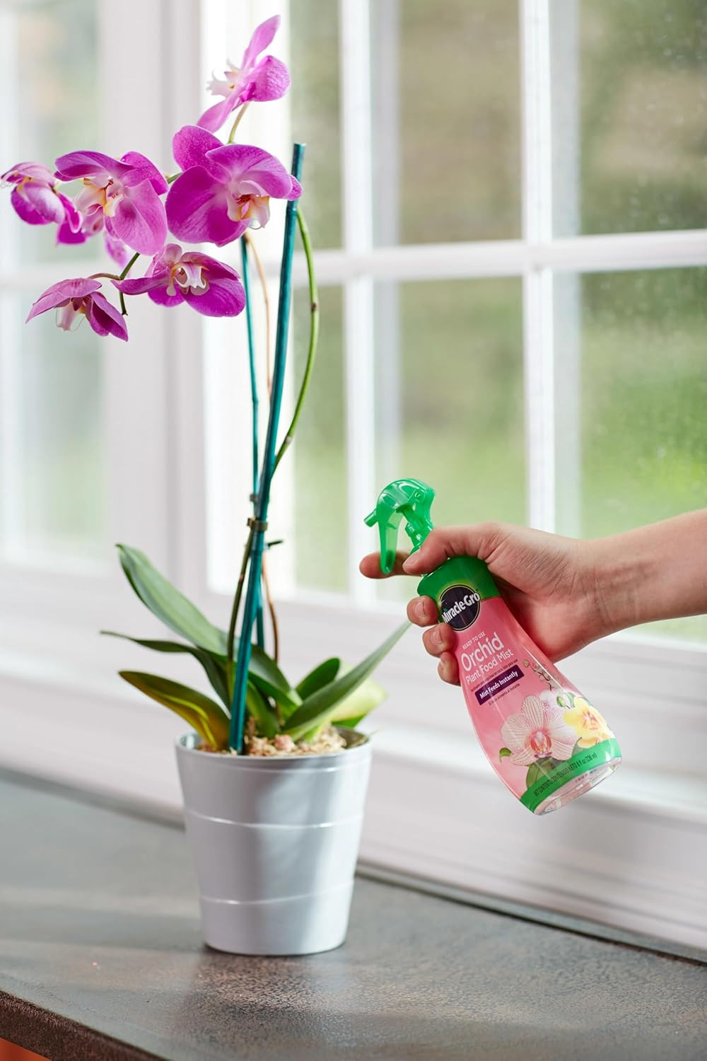 Miracle-Gro Ready-To-Use Orchid Plant Food Mist – Fertilizer Mist for Indoor Blo