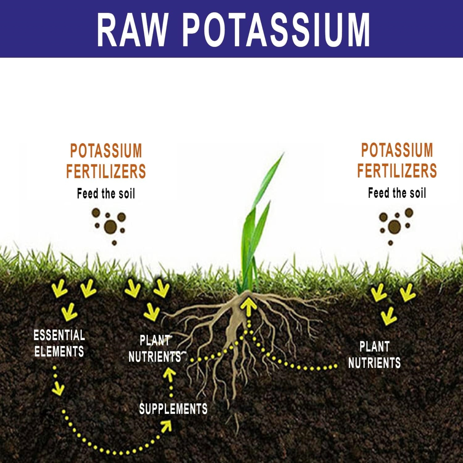 RAW Potassium Power Water-Soluble Fertilizer for Blooms and Fruiting, 2lbs